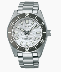 seiko wrist watch price